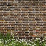 mur-mitoyen mur-mitoyen